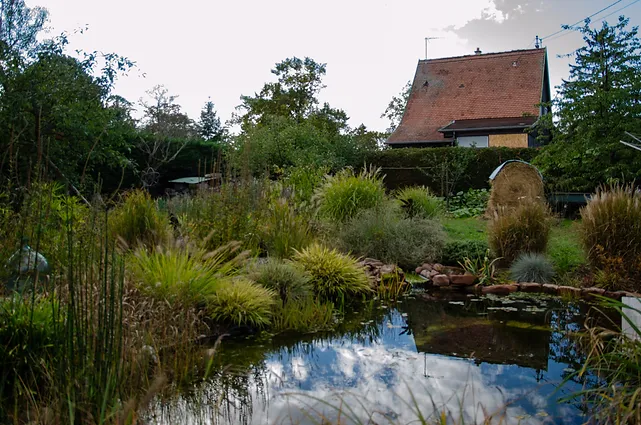 Visite du jardin de Blanche et Vincent à Kientzville