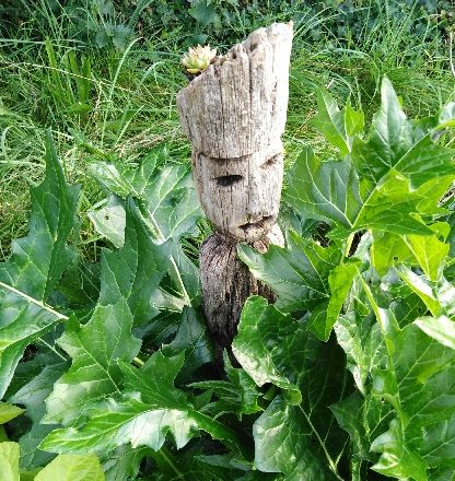 Mon jardin par Henriette.