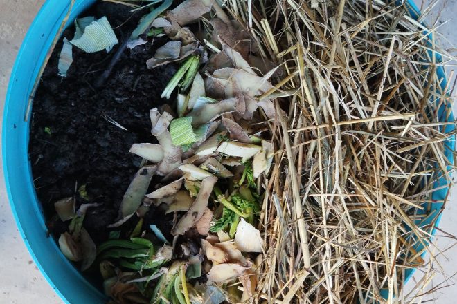 On m’a dit que… je dois ajouter de la terre pour sauver mon compost !