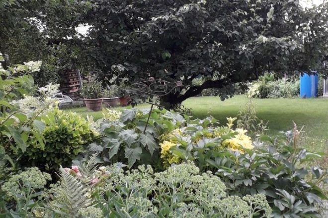 Les rencontres jardin de l&rsquo;été.