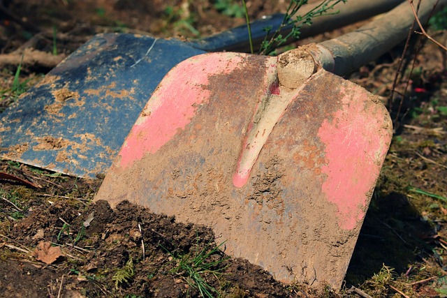 Humour: la vie cachée des outils de jardin.