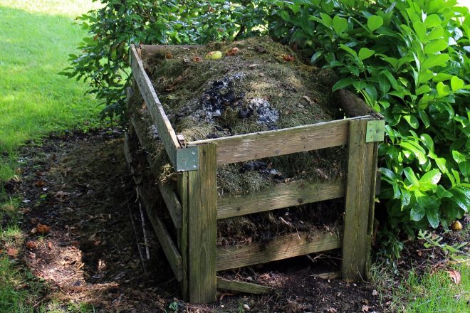 On m’a dit que… les champignons dans le compost sont un problème !