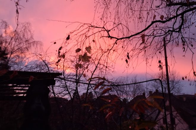 Les rythmes de la lumière : observer le soleil pour planifier son jardin