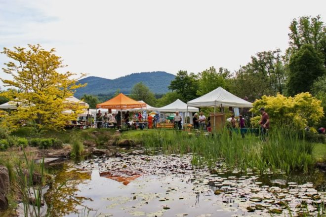 Fête des Jardins Vivants 2026 – La vidéo