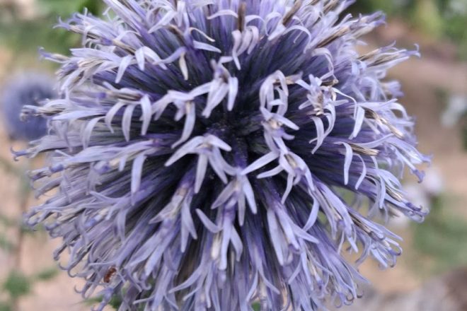 Une boule d&rsquo;azur.